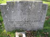 image of grave number 504824